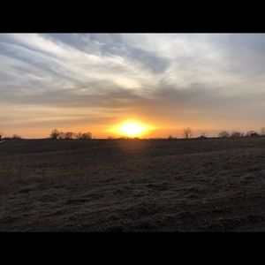 Meet your Posher, Maggie